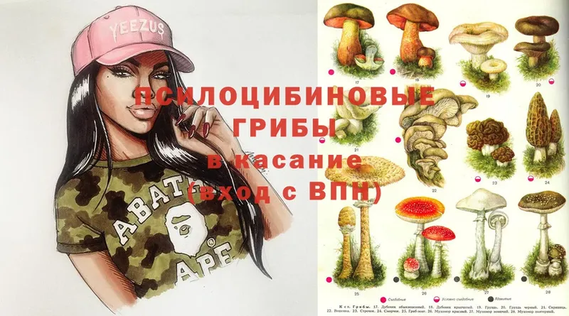 нарко площадка клад  Ишим  Псилоцибиновые грибы Magic Shrooms 